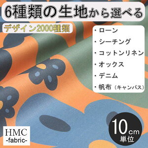 y10cmP:z n z I[_[vgz ( V[`O or IbNX ) / fab-cm00914