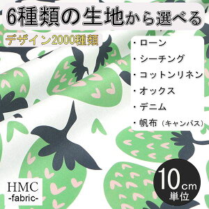 y10cmP:z n z I[_[vgz ( V[`O or IbNX ) / fab-cm00915