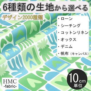 y10cmP:z n z I[_[vgz ( V[`O or IbNX ) / fab-cm00927