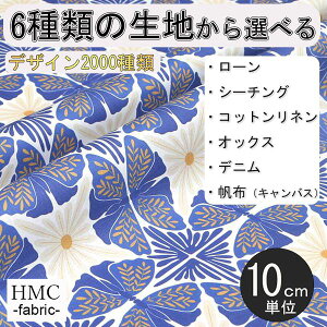 y10cmP:z n z I[_[vgz ( V[`O or IbNX ) / fab-cm00931