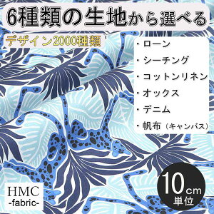 y10cmP:z n z I[_[vgz ( V[`O or IbNX ) / fab-cm00933