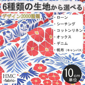 y10cmP:z n z I[_[vgz ( V[`O or IbNX ) / fab-cm00940