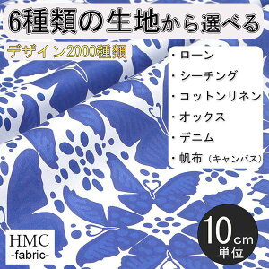 y10cmP:z n z I[_[vgz ( V[`O or IbNX ) / fab-cm00942