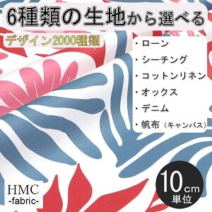 y10cmP:z n z I[_[vgz ( V[`O or IbNX ) / fab-cm00945