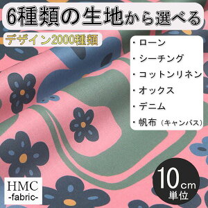 y10cmP:z n z I[_[vgz ( V[`O or IbNX ) / fab-cm00953