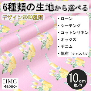 y10cmP:z n z I[_[vgz ( V[`O or IbNX ) / fab-cm00956