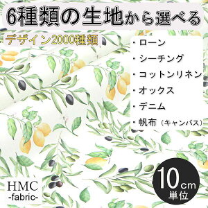 y10cmP:z n z I[_[vgz ( V[`O or IbNX ) / fab-cm00962