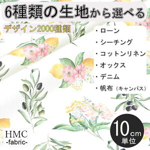 y10cmP:z n z I[_[vgz ( V[`O or IbNX ) / fab-cm00985