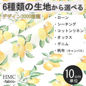 y10cmP:z n z I[_[vgz ( V[`O or IbNX ) / fab-cm00988