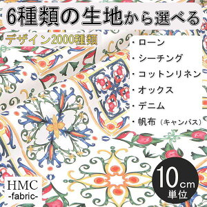 y10cmP:z n z I[_[vgz ( V[`O or IbNX ) / fab-cm00991