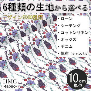 y10cmP:z n z I[_[vgz ( V[`O or IbNX ) / fab-cm01013