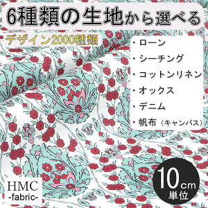 y10cmP:z n z I[_[vgz ( V[`O or IbNX ) / fab-cm01014