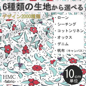 y10cmP:z n z I[_[vgz ( V[`O or IbNX ) / fab-cm01021