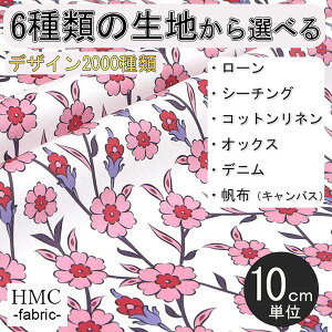 y10cmP:z n z I[_[vgz ( V[`O or IbNX ) / fab-cm01022