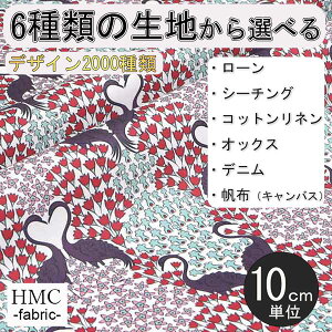 y10cmP:z n z I[_[vgz ( V[`O or IbNX ) / fab-cm01028