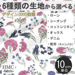 y10cmP:z n z I[_[vgz ( V[`O or IbNX ) / fab-cm01037