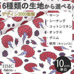 y10cmP:z n z I[_[vgz ( V[`O or IbNX ) / fab-cm01039