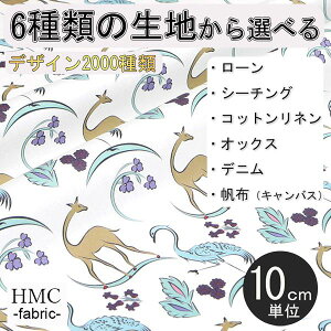 y10cmP:z n z I[_[vgz ( V[`O or IbNX ) / fab-cm01043