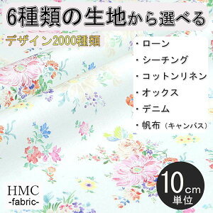 y10cmP:z n z I[_[vgz ( V[`O or IbNX ) / fab-cm01051