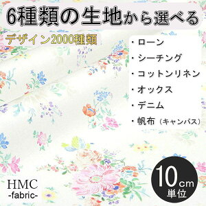 y10cmP:z n z I[_[vgz ( V[`O or IbNX ) / fab-cm01053