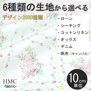 y10cmP:z n z I[_[vgz ( V[`O or IbNX ) / fab-cm01054