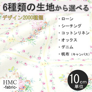 y10cmP:z n z I[_[vgz ( V[`O or IbNX ) / fab-cm01055