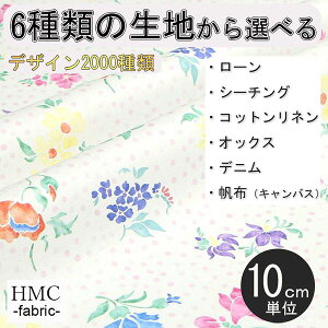 y10cmP:z n z I[_[vgz ( V[`O or IbNX ) / fab-cm01059