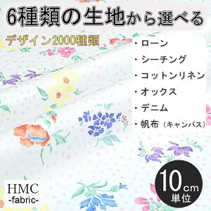 y10cmP:z n z I[_[vgz ( V[`O or IbNX ) / fab-cm01060
