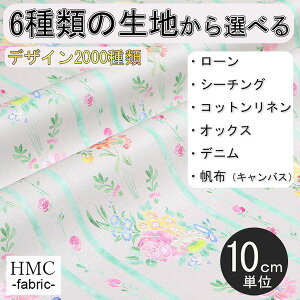 y10cmP:z n z I[_[vgz ( V[`O or IbNX ) / fab-cm01061