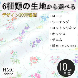 y10cmP:z n z I[_[vgz ( V[`O or IbNX ) / fab-cm01065
