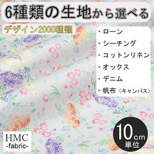 y10cmP:z n z I[_[vgz ( V[`O or IbNX ) / fab-cm01067