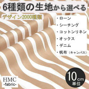 y10cmP:z n z I[_[vgz ( V[`O or IbNX ) / fab-cm01085