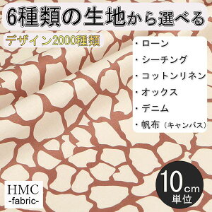 y10cmP:z n z I[_[vgz ( V[`O or IbNX ) / fab-cm01087