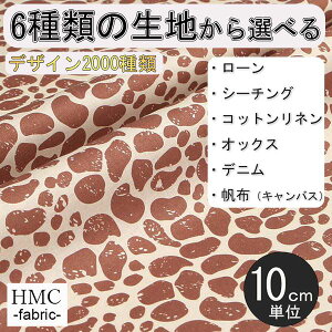 y10cmP:z n z I[_[vgz ( V[`O or IbNX ) / fab-cm01094