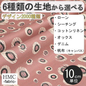 y10cmP:z n z I[_[vgz ( V[`O or IbNX ) / fab-cm01096