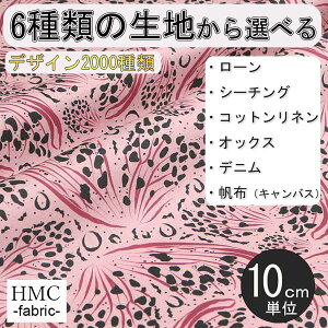 y10cmP:z n z I[_[vgz ( V[`O or IbNX ) / fab-cm01098