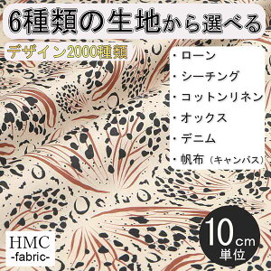 y10cmP:z n z I[_[vgz ( V[`O or IbNX ) / fab-cm01099