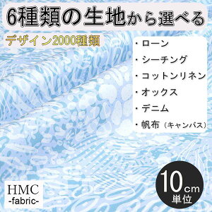 y10cmP:z n z I[_[vgz ( V[`O or IbNX ) / fab-cm01101