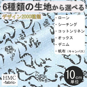 y10cmP:z n z I[_[vgz ( V[`O or IbNX ) / fab-cm01109