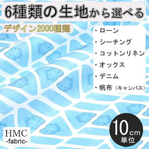 y10cmP:z n z I[_[vgz ( V[`O or IbNX ) / fab-cm01113