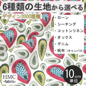 y10cmP:z n z I[_[vgz ( V[`O or IbNX ) / fab-cm01123