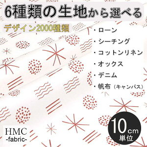 y10cmP:z n z I[_[vgz ( V[`O or IbNX ) / fab-cm01142