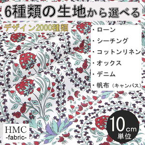 y10cmP:z n z I[_[vgz ( V[`O or IbNX ) / fab-cm01145