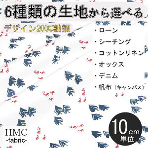 y10cmP:z n z I[_[vgz ( V[`O or IbNX ) / fab-cm01153