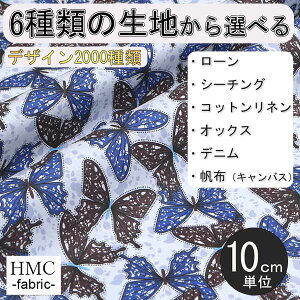 y10cmP:z n z I[_[vgz ( V[`O or IbNX ) / fab-cm01160