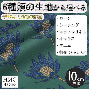 y10cmP:z n z I[_[vgz ( V[`O or IbNX ) / fab-cm01163