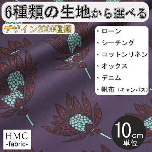 y10cmP:z n z I[_[vgz ( V[`O or IbNX ) / fab-cm01164