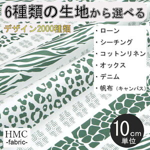 y10cmP:z n z I[_[vgz ( V[`O or IbNX ) / fab-cm01165