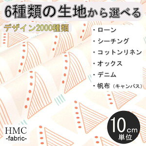 y10cmP:z n z I[_[vgz ( V[`O or IbNX ) / fab-cm01173