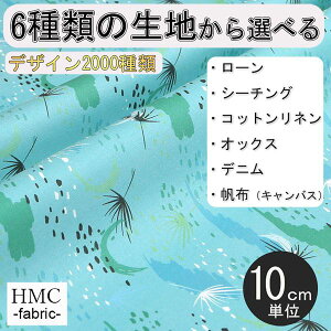 y10cmP:z n z I[_[vgz ( V[`O or IbNX ) / fab-cm01175